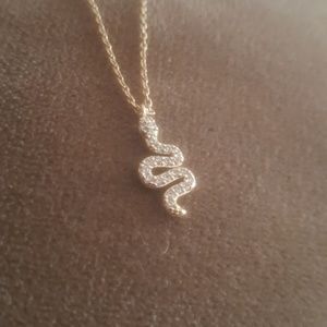 Snake necklace from brandy Melville